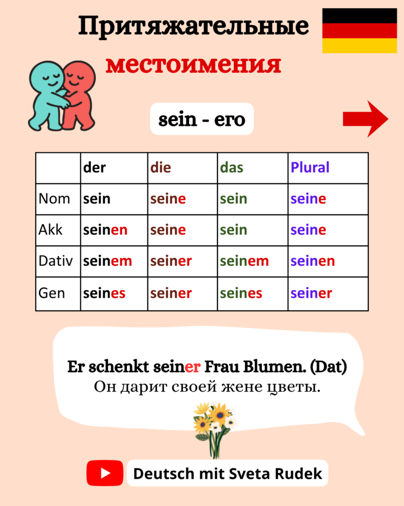 Притяжательные местоимения в немецком языке